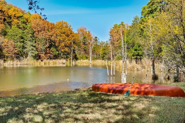 3134 Van Buren, Eureka Springs, AR 72632 - photo 22