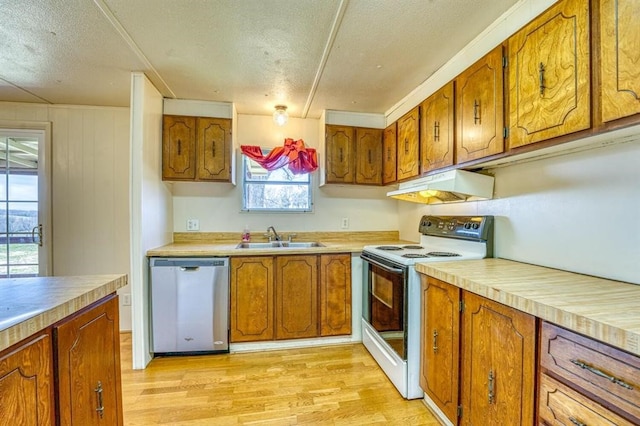 kitchen with white range with electric cooktop, dishwasher, sink, and a wealth of natural light