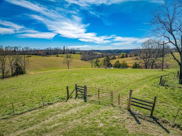 view of yard with a rural view