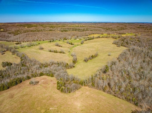 aerial view with a rural view