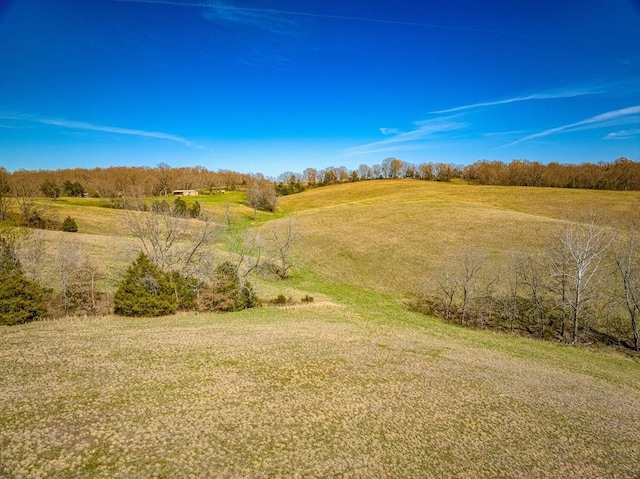 view of local wilderness featuring a rural view