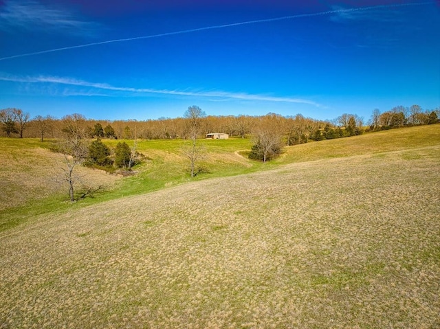 view of yard featuring a rural view