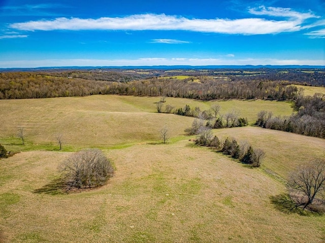 bird's eye view featuring a rural view