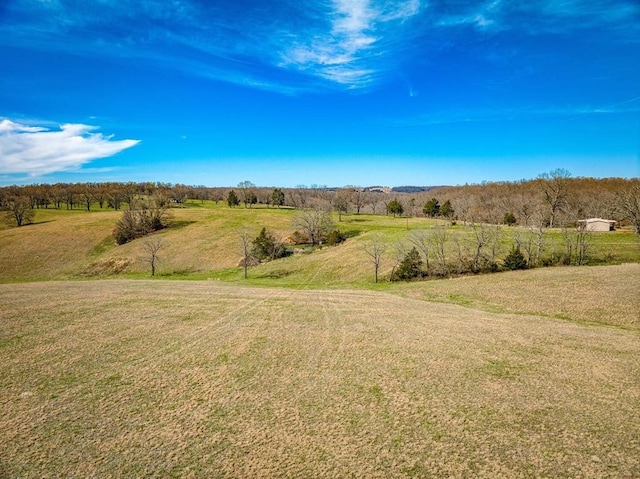 view of yard with a rural view