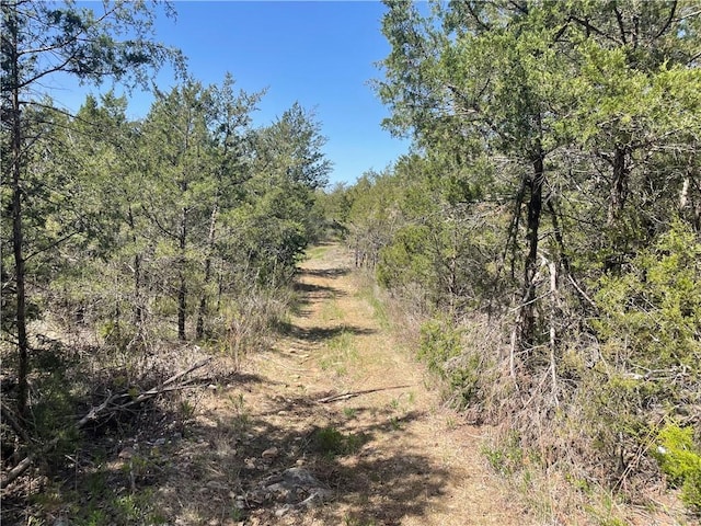 Mc 2048 Rd, Lead Hill, AR 72644 - photo 1