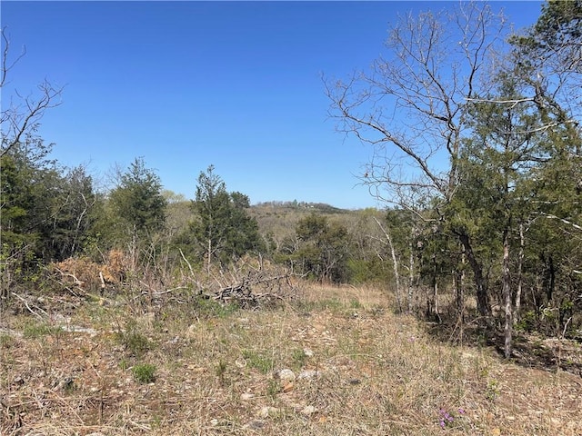 Mc 2048 Rd, Lead Hill, AR 72644 - photo 2