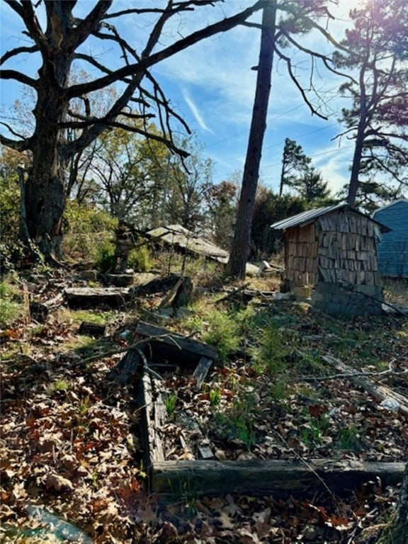 view of yard featuring a storage shed