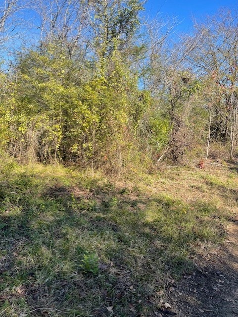 Listing photo 3 for TBD Goff Cir, Dyer AR 72921