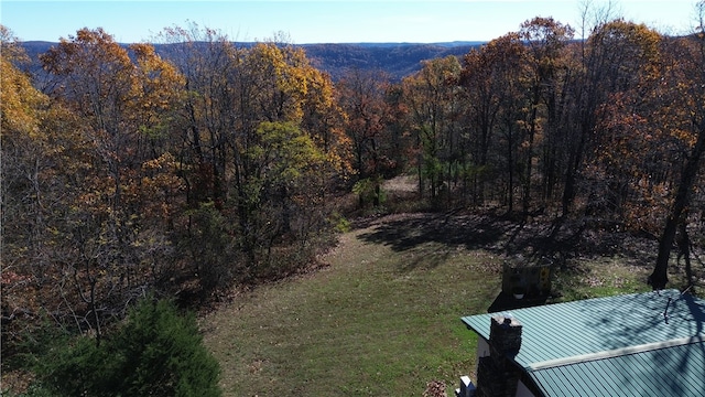 view of mountain feature