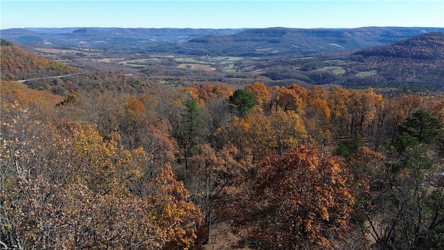 bird's eye view featuring a mountain view