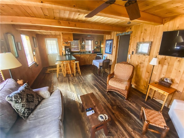 living room with beamed ceiling, dark hardwood / wood-style flooring, wood ceiling, and wood walls