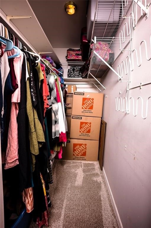 spacious closet with carpet flooring