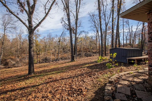 view of yard featuring a shed