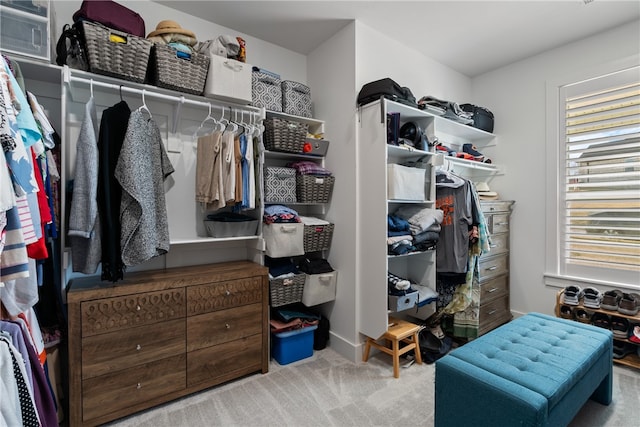 spacious closet featuring light carpet