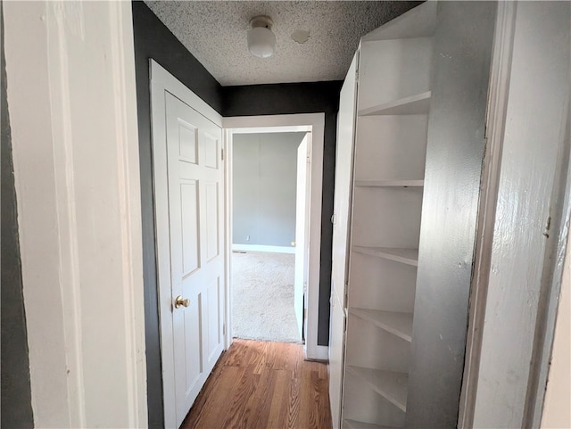 interior space with hardwood / wood-style floors and a textured ceiling