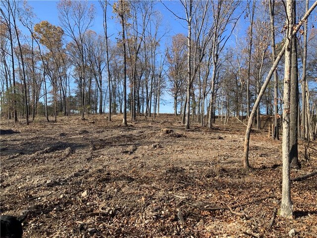 1 Madison Unit 8735, Huntsville, AR 72740 - photo 10