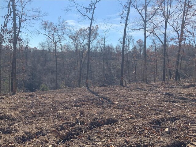 1 Madison Unit 8735, Huntsville, AR 72740 - photo 12