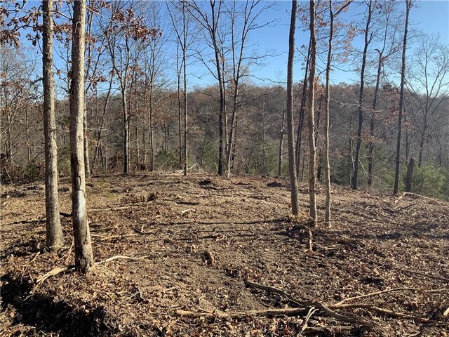 1 Madison Unit 8735, Huntsville, AR 72740 - photo 14