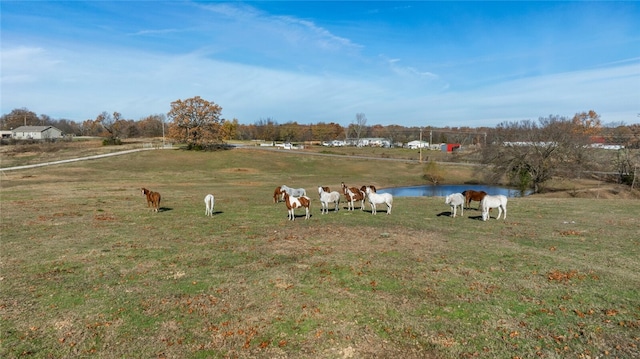 view of yard featuring a rural view and a water view