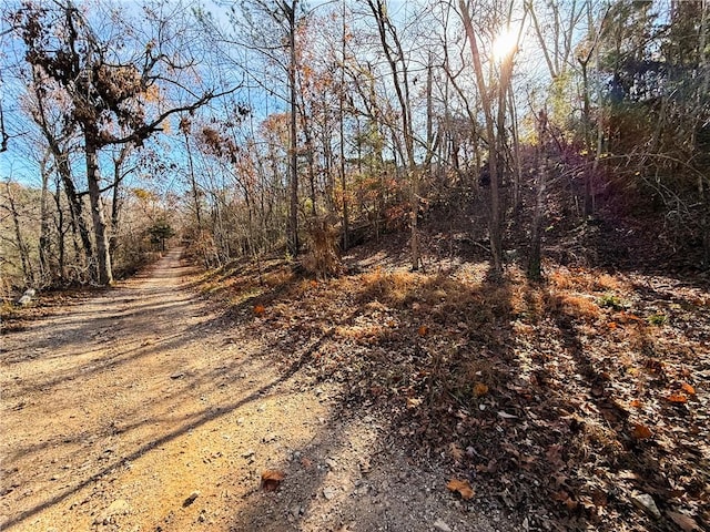 3.9ACRES Beech Dr, Lowell, AR 72745 - photo 4