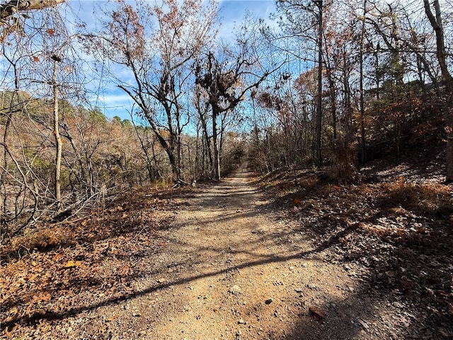 3.9ACRES Beech Dr, Lowell, AR 72745 - photo 7