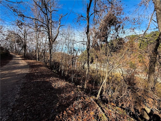 3.9ACRES Beech Dr, Lowell, AR 72745 - photo 8