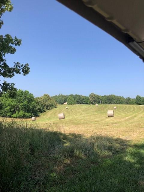 view of yard featuring a rural view