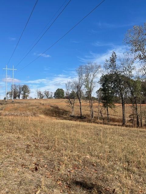 Downum, Elm Springs, AR 72762 - photo 4