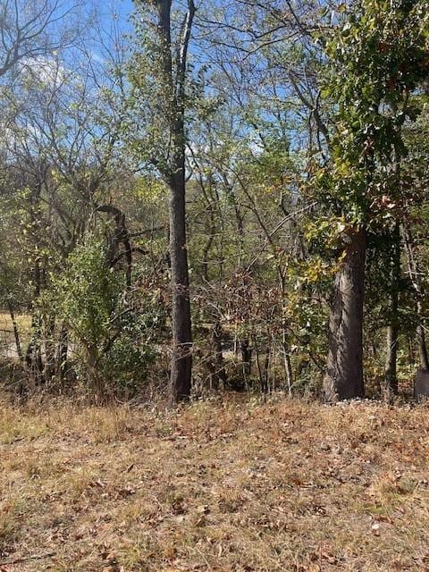 Downum, Elm Springs, AR 72762 - photo 7