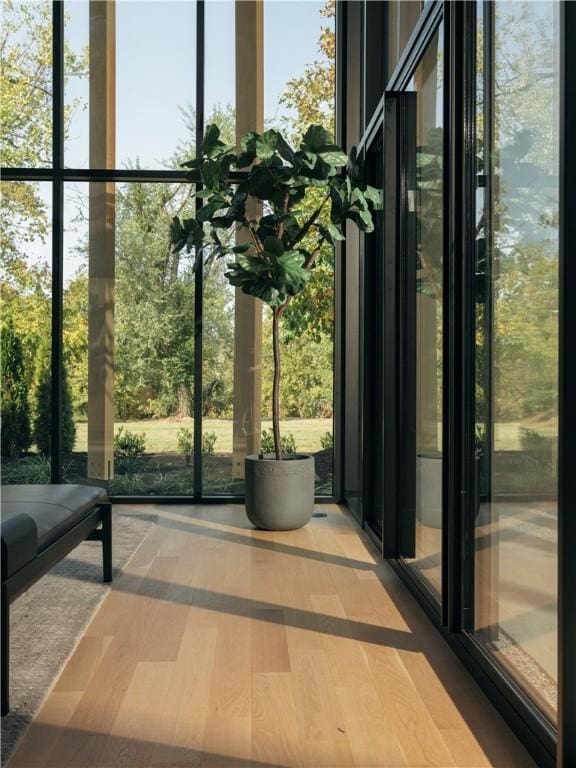 doorway featuring expansive windows and hardwood / wood-style floors