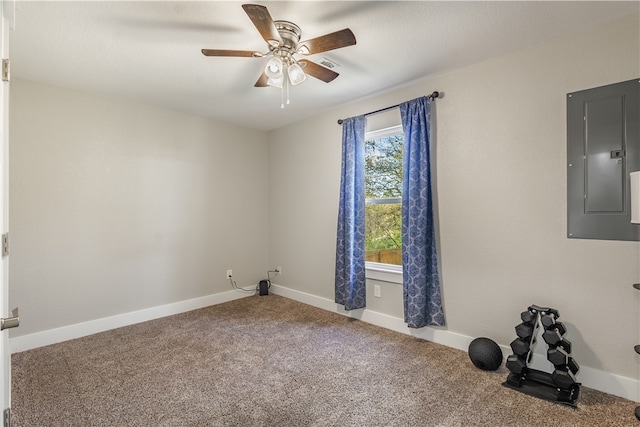 empty room featuring electric panel, ceiling fan, and carpet