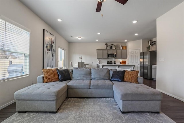 living room featuring dark hardwood / wood-style flooring and plenty of natural light