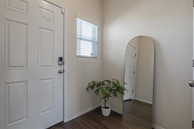 foyer entrance featuring dark hardwood / wood-style floors