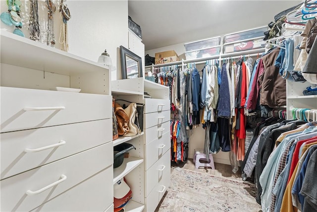 view of spacious closet