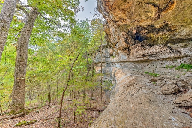 view of local wilderness