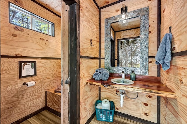 bathroom with vanity and wood-type flooring