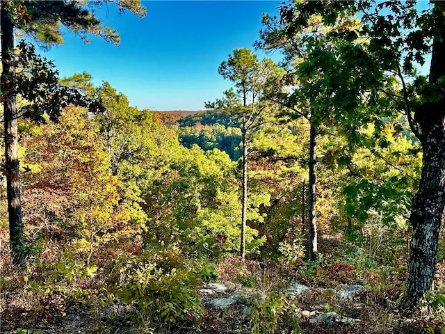 view of local wilderness