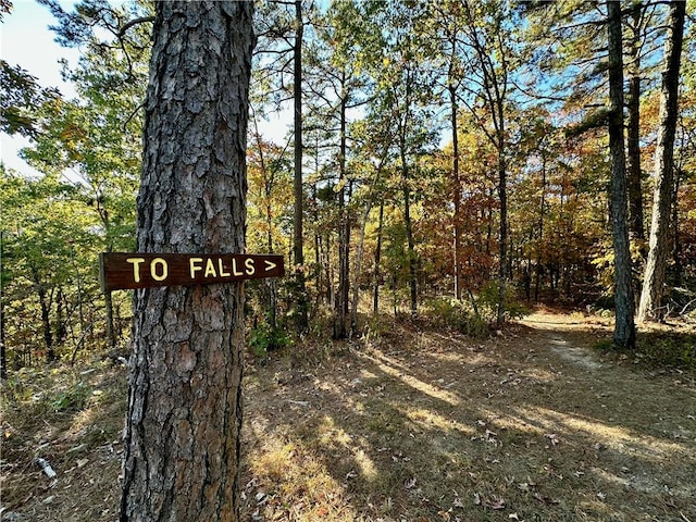 329 Bradley Ridge Rd, Marshall, AR 72650 - exterior view of a heavily wooded area