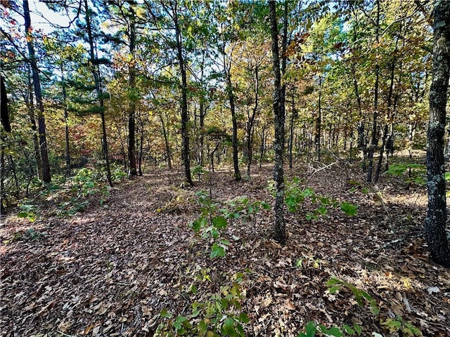 329 Bradley Ridge Rd, Marshall, AR 72650 - view of woods