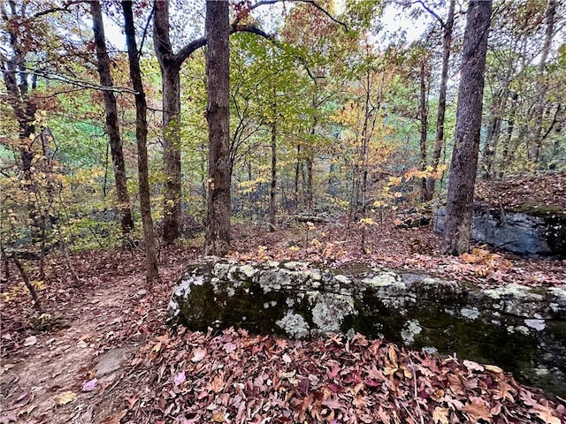 329 Bradley Ridge Rd, Marshall, AR 72650 - view of wooded area