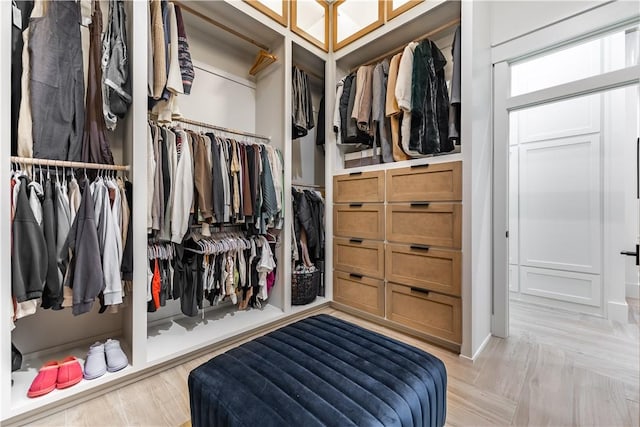 view of walk in closet