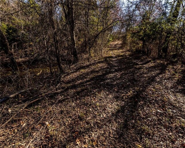 51.39AC E Black Oak Rd, Fayetteville, AR 72701 - photo 3