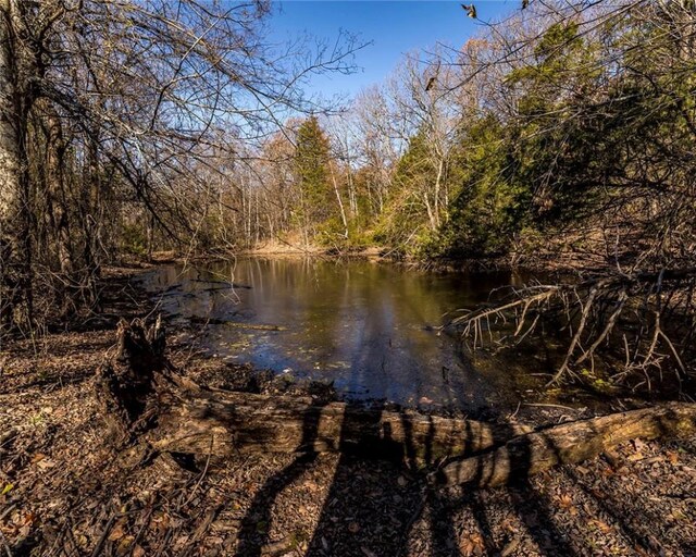 51.39AC E Black Oak Rd, Fayetteville, AR 72701 - photo 11
