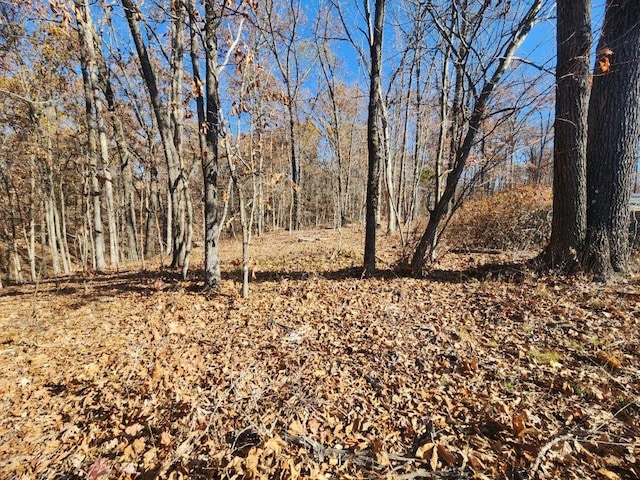 Listing photo 2 for LOT8 Chichester Cir, Bella Vista AR 72714