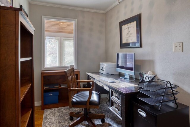 office space featuring dark wood-type flooring and crown molding