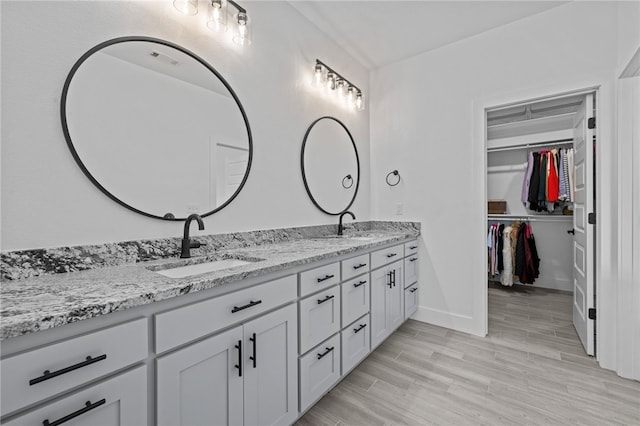 bathroom with wood-type flooring and vanity