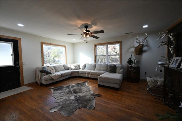 living room with ceiling fan and dark wood-type flooring