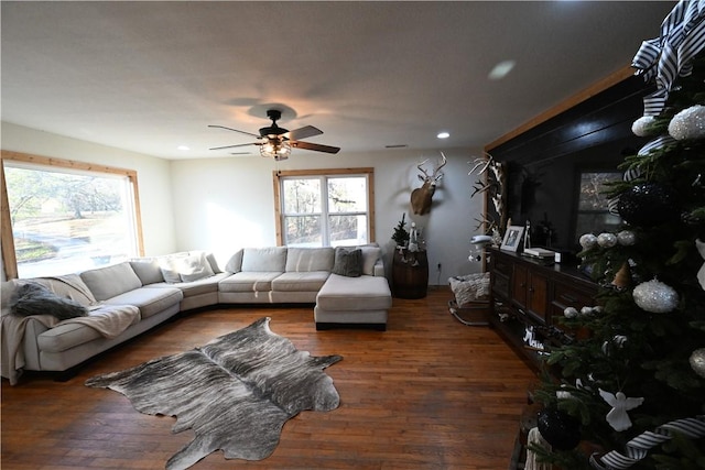 living room with dark hardwood / wood-style floors and ceiling fan