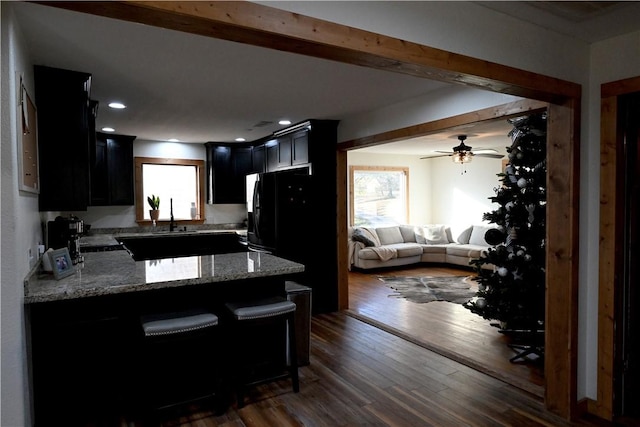 kitchen featuring kitchen peninsula, light stone counters, a healthy amount of sunlight, and dark hardwood / wood-style floors