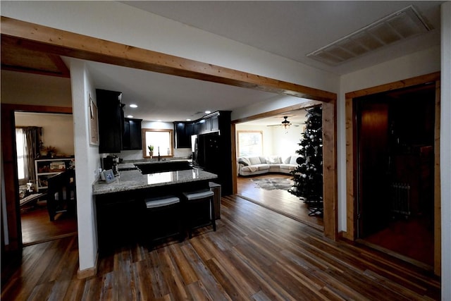 kitchen with light stone countertops, dark hardwood / wood-style flooring, plenty of natural light, and ceiling fan